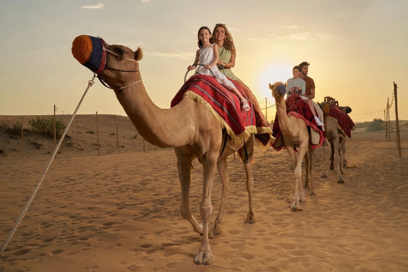 Noble Life Desert Dinner Show Safari: A Magical Evening Under the Stars                                                                                                                       — Noble Life