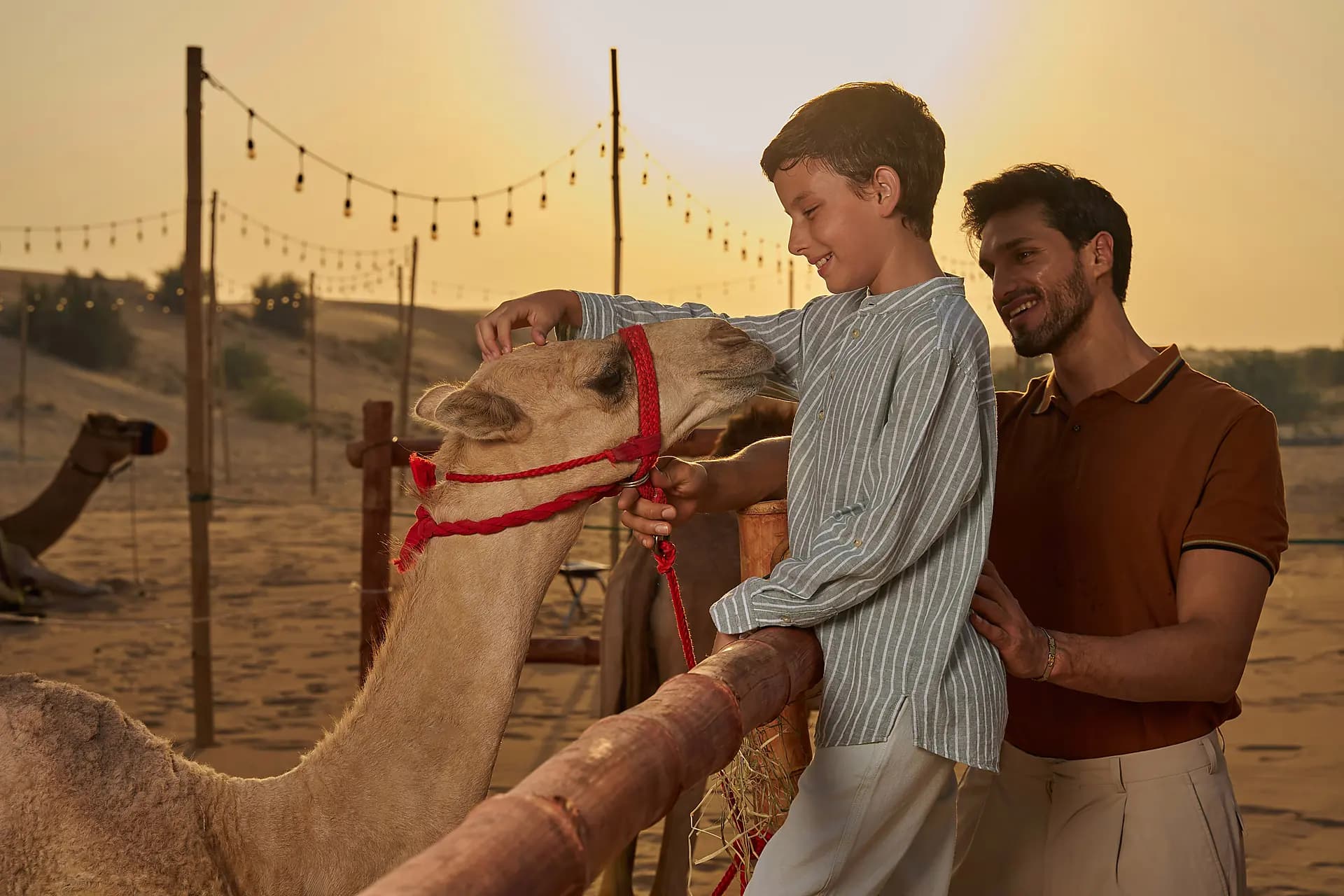Morning Safari Dubai: Early Desert Adventure with Dunes & Camels — Noble Life